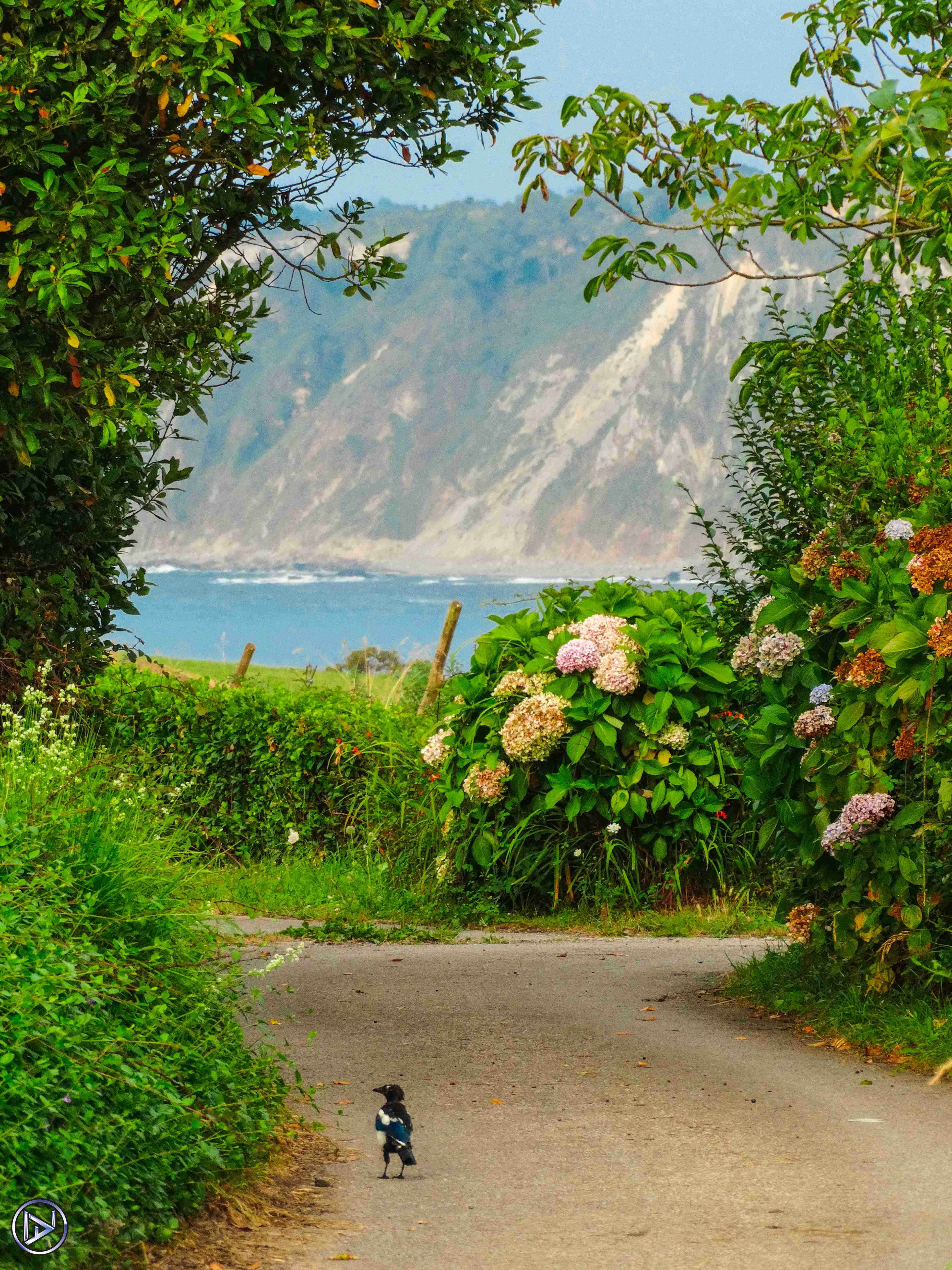 <i>Caminante no hay camino...</i>